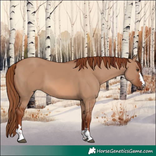 Horse Color:Red Dun 