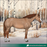 Horse Color:Red Dun 