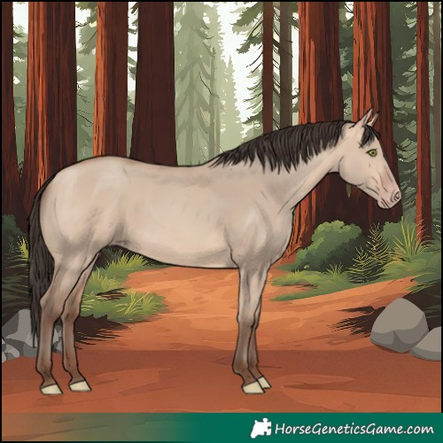 Horse Color:Amber Champagne Dun