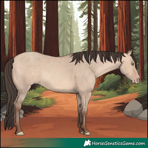 Horse Color:Amber Champagne Dun 