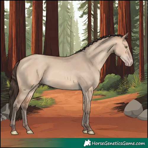 Horse Color:Amber Champagne Dun 