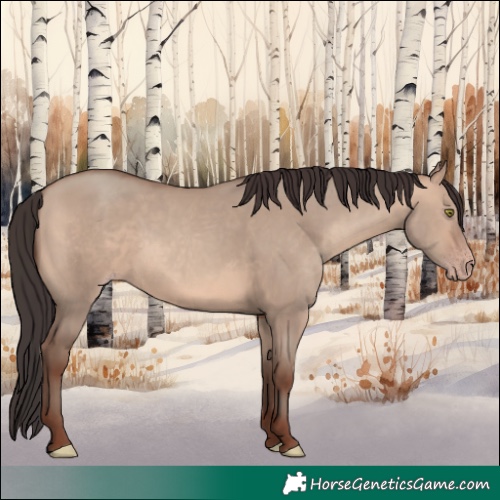 Horse Color:Sable Champagne Dun 