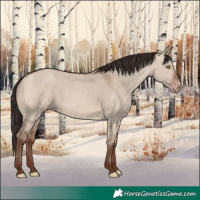 Horse Color:Sable Champagne Dun 