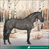Horse Color:Grullo Rabicano 