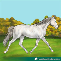 Horse Color:Perlino Sabino  and Perlino Sabino 