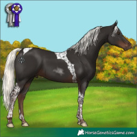 Horse Color:Liver Chestnut Mushroom Tobiano 
