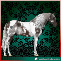 Horse Color:White Spotted Silver Brown Tobiano 