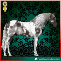 Horse Color:White Spotted Silver Brown Tobiano 