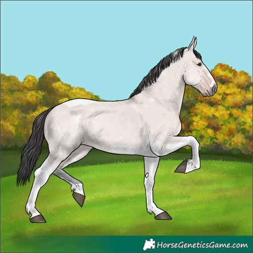 Horse Color:Platinum Bay Dun Tobiano 