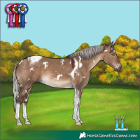 Horse Color:White Spotted Silver Brown Dun Tobiano