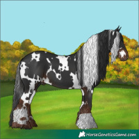 Horse Color:White Spotted Liver Chestnut