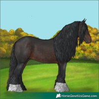Horse Color:Brown 
