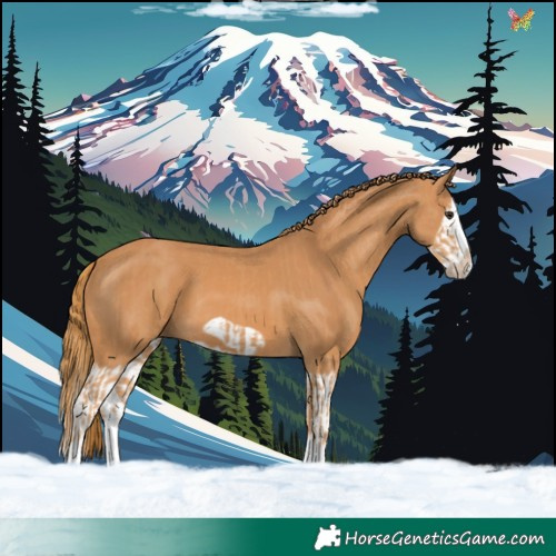 Horse Color:Chestnut Splash Frame  and Chestnut Splash Frame 