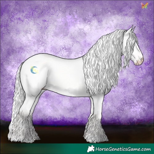 Horse Color:Silver Perlino Dun
