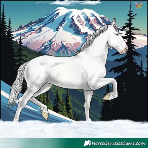 Horse Color:Silver Perlino Dun 