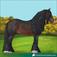 Horse Color:Brown 