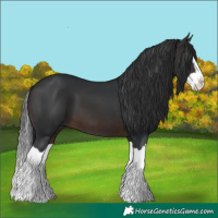Horse Color:Brown Splash 