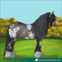 Horse Color:Brown Ice 