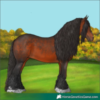 Horse Color:Brown 