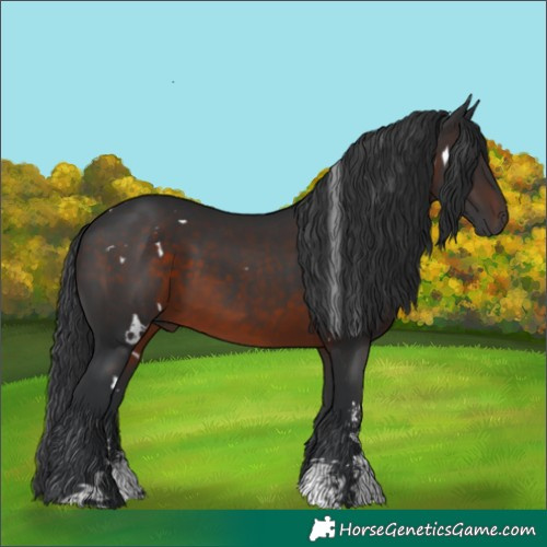 Horse Color:White Spotted Brown Sabino 