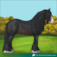 Horse Color:Brown Sabino