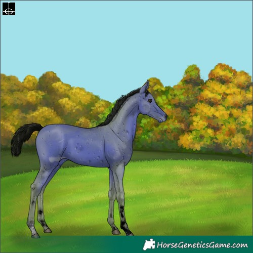 Horse Color:ERROR: UNKNOWN ANOMALY
