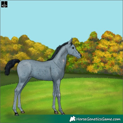Horse Color:ERROR: UNKNOWN ANOMALY