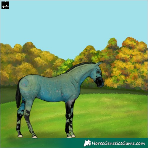 Horse Color:ERROR: UNKNOWN ANOMALY