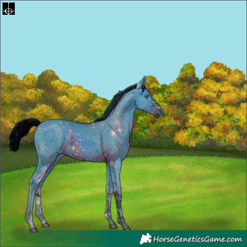 Horse Color:ERROR: UNKNOWN ANOMALY