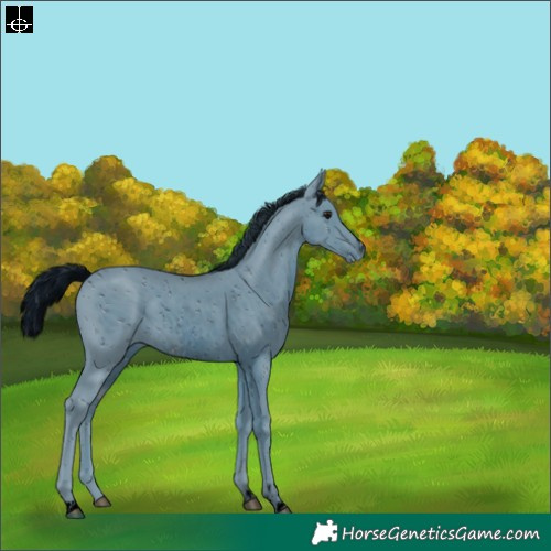 Horse Color:ERROR: UNKNOWN ANOMALY