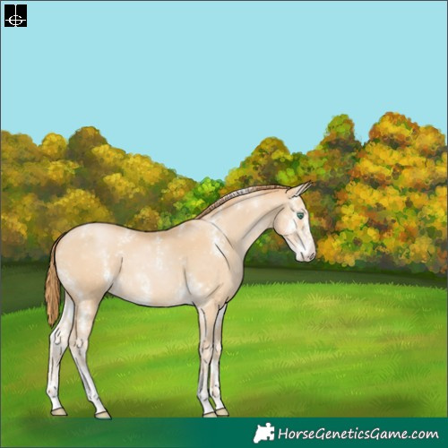 Horse Color:Smoky Black Pearl Sabino 
