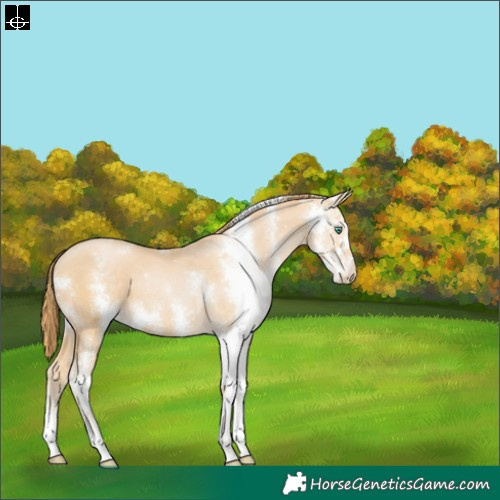 Horse Color:Smoky Black Pearl Sabino 