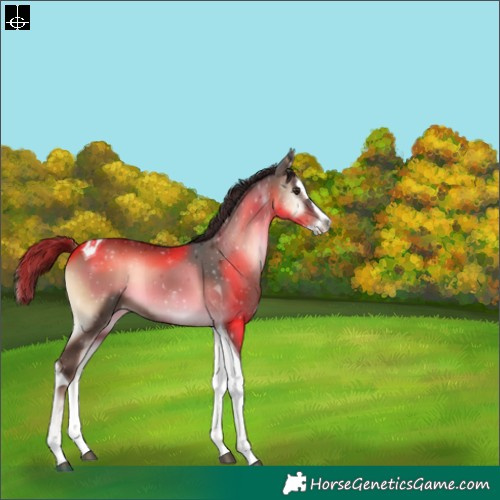 Horse Color:Liver Red Onyx Splash Tobiano 