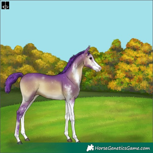 Horse Color:Watercolor Brown Onyx Sabino 