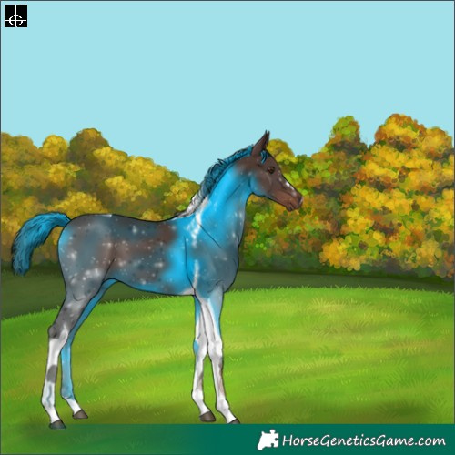 Horse Color:Liver Chestnut Tobiano 