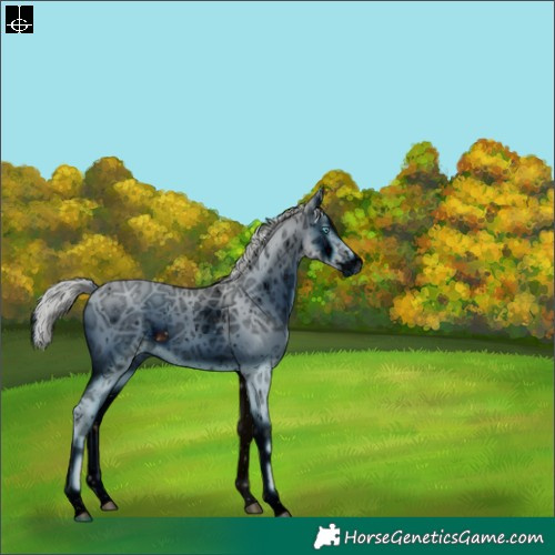 Horse Color:ERROR: UNKNOWN ANOMALY