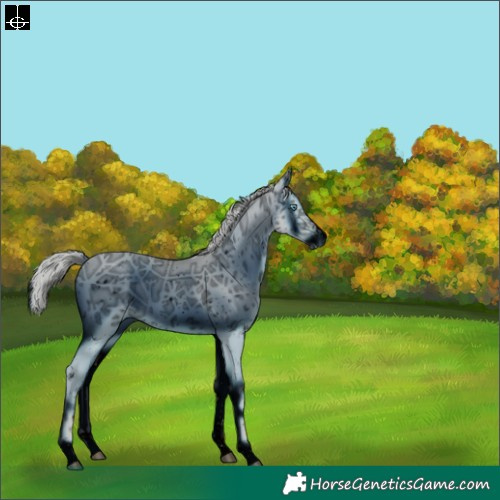 Horse Color:ERROR: UNKNOWN ANOMALY