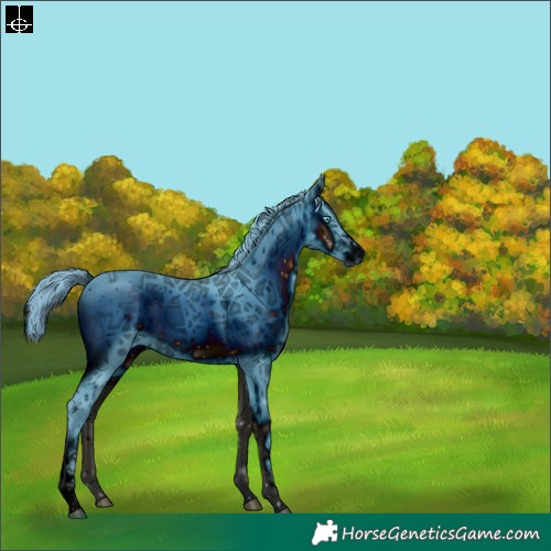 Horse Color:ERROR: UNKNOWN ANOMALY