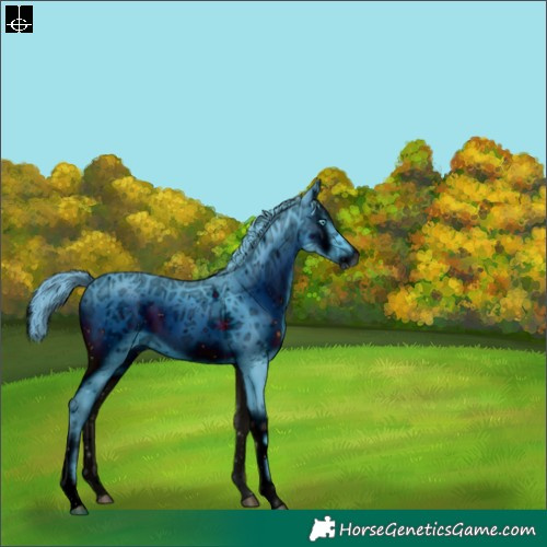 Horse Color:ERROR: UNKNOWN ANOMALY