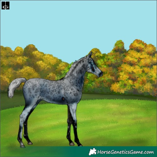 Horse Color:ERROR: UNKNOWN ANOMALY