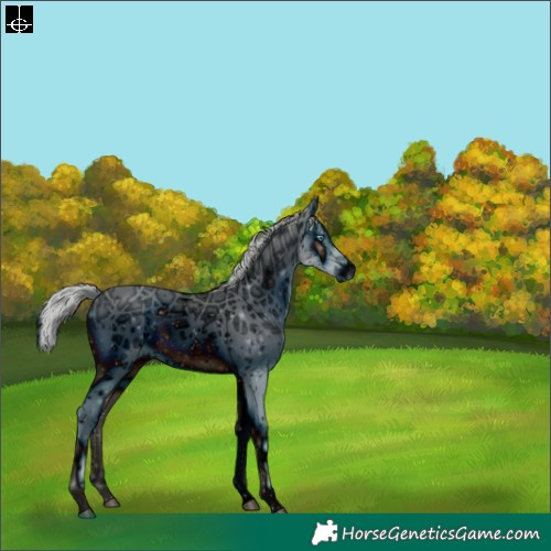 Horse Color:ERROR: UNKNOWN ANOMALY