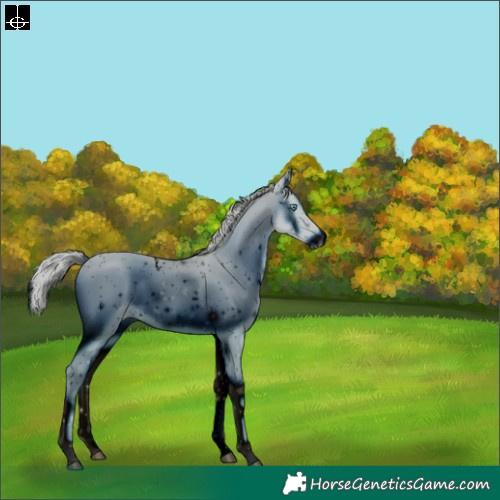 Horse Color:ERROR: UNKNOWN ANOMALY