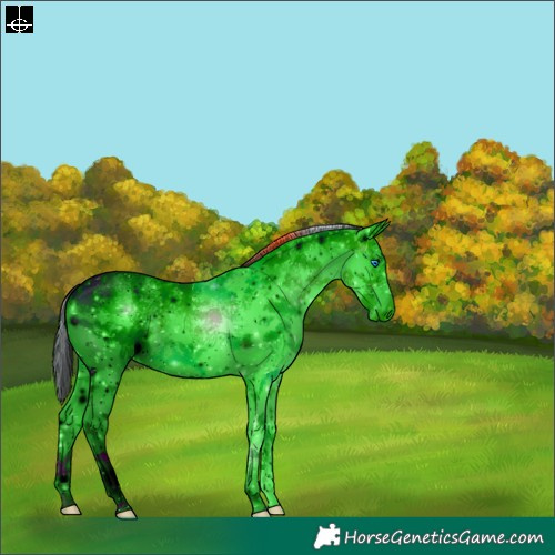 Horse Color:ERROR: UNKNOWN ANOMALY