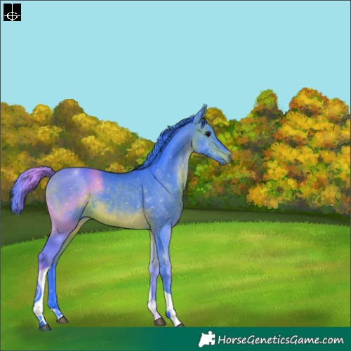 Horse Color:Watercolor Brown Tobiano 