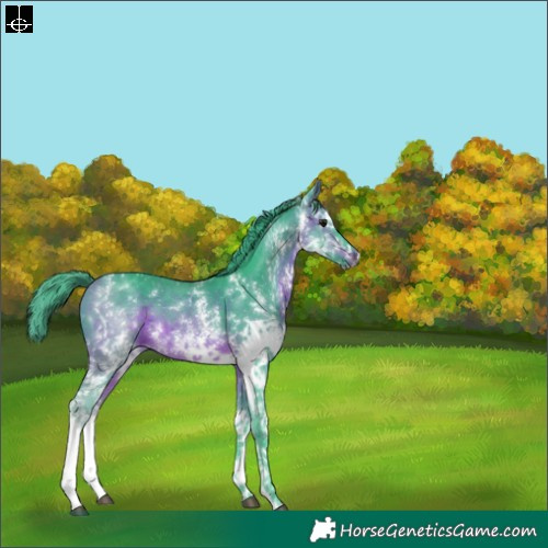 Horse Color:Watercolor White Spotted Brown Splash 