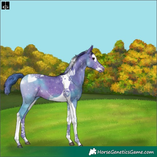 Horse Color:Watercolor Brown Sabino Splash Tobiano 