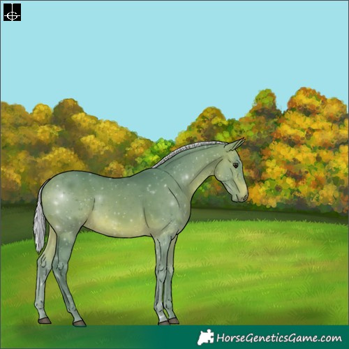 Horse Color:Watercolor Silver Brown 