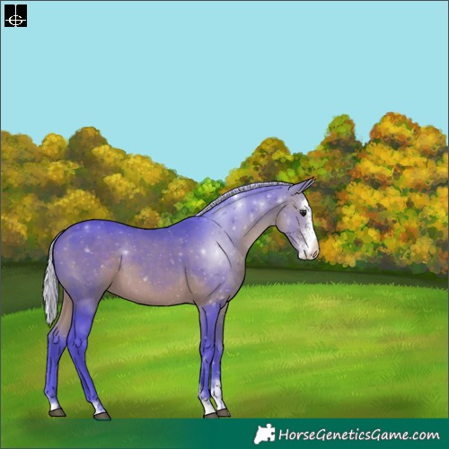 Horse Color:Watercolor Silver Brown Sabino 
