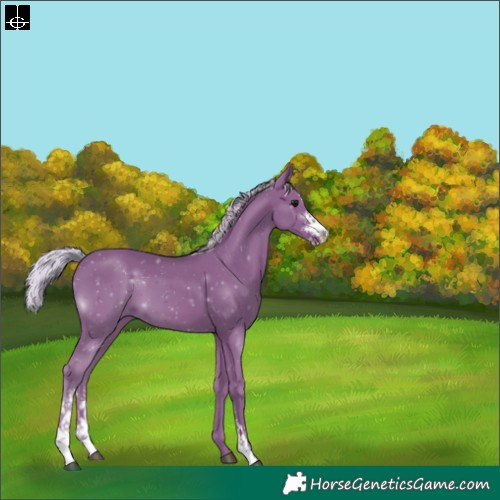 Horse Color:Watercolor Silver Black Sabino 