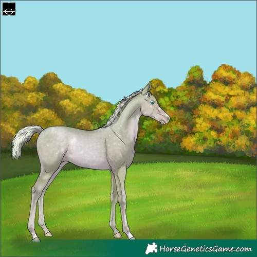 Horse Color:Watercolor Silver Smoky Black Pearl 